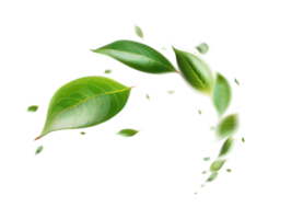 Green Floating Leaves Flying Leaves Green Leaf Dancing, Air Purifier Atmosphere Simple Main Picture png