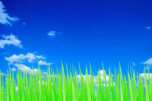 Green and blue sky photo