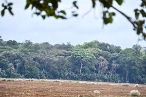 Scenic rural landscape photo