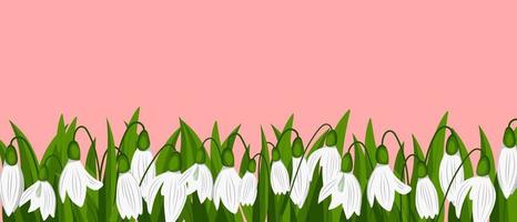 Background with Snowdrops isolated on pink background. Spring time vector