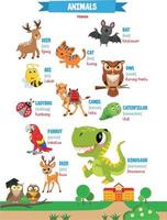 Learning names of animals in english for kids with cute pictures vector