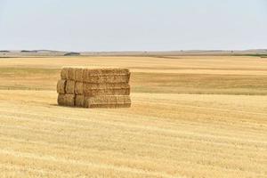 escénico rural paisaje foto