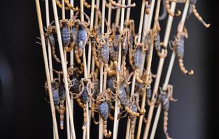 fried insects and scorpions as snack street food in China, Beijing photo