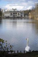 cisne y palacio en el isla en lazienki krolewskie - real balneario parque en varsovia, Polonia foto