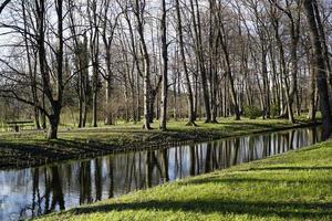 estanque en lazienki krolewskie - real balneario parque en varsovia, Polonia foto