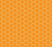 honey combs seamless pattern vector