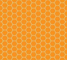 honey combs seamless pattern vector