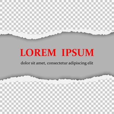 Realistic vector torn paper with ripped edges