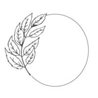 floral bohemian elegant aesthetic circle frame with leaves in doodle style isolated on white background. Vector illustration