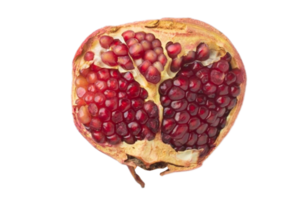 Half pomegranate isolated on a transparent background png