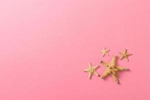 lot of seashells and many starfish on pink background photo