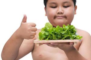 salad roll on fat boy hand isolated photo