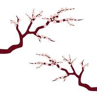 design illustration branch with cherry blossoms vector