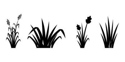 grass silhouette illustration design and flower set vector