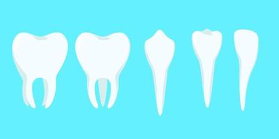 illustration design of collection of teeth and toothache vector