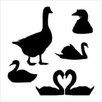 goose silhouette illustration collection vector