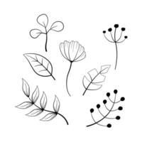 collection of outline autumn flowers and leaves with wreath vector