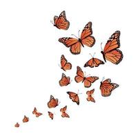 Printrealistic background butterfly vector illustration design