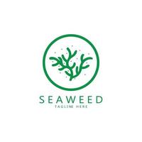 Seaweed vector logo icon illustration design.includes seafood,natural products,florist,ecology,wellness,spa.