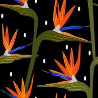 beautiful colorful strelitzia flowers abstract seamless vector pattern illustration on black background