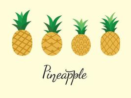 set with a variety of stylized pineapples. vector