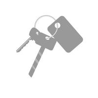 Bunch of keys with keychain vector