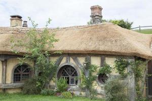 New Zealand's Fairy Tale House With A Straw Rooftop photo