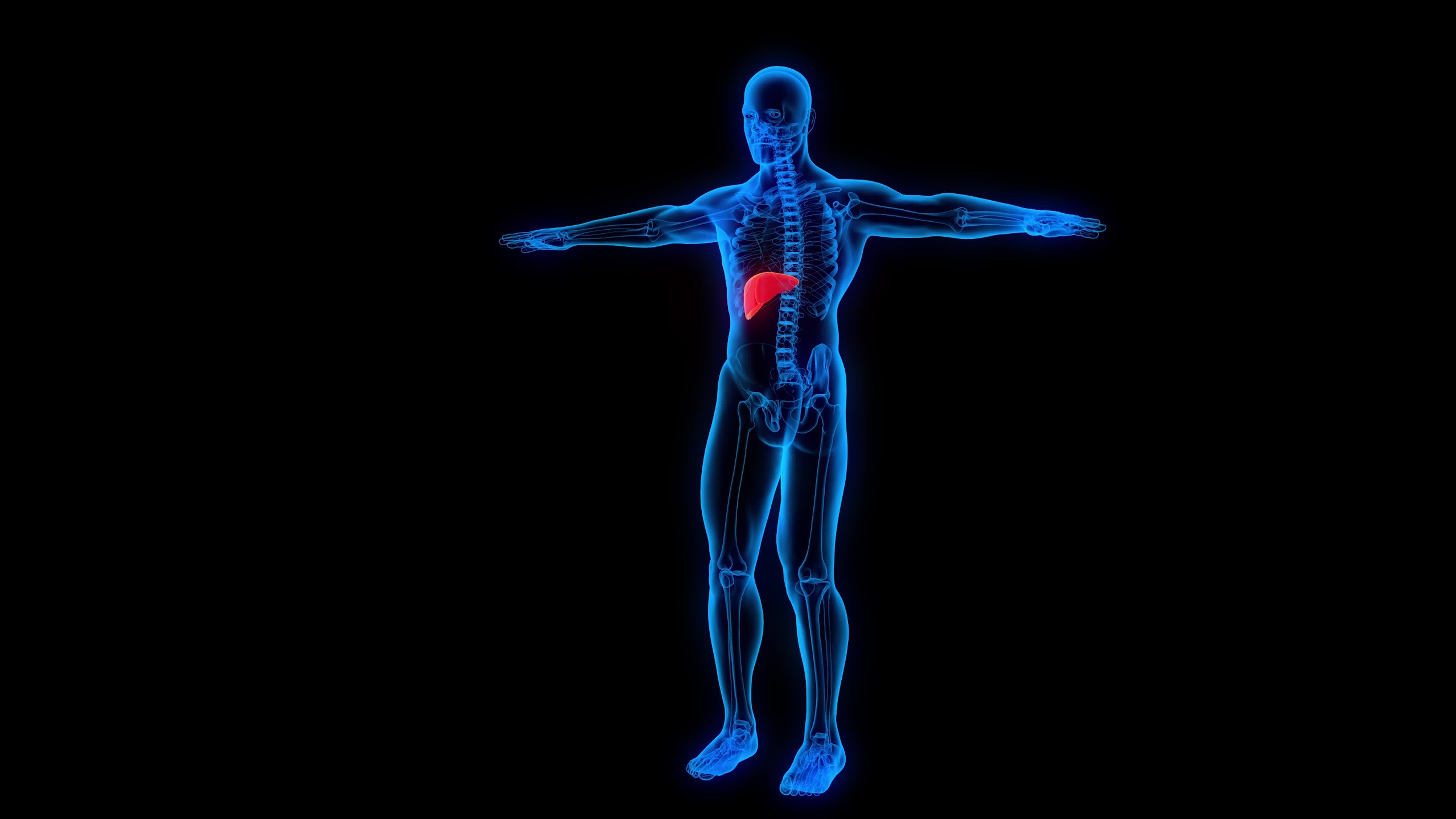 bad liver disease symptoms liver failure 3d anatomy xray ultrasound