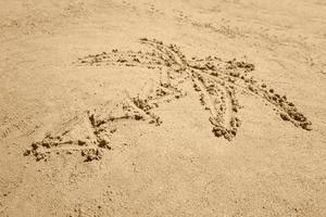 palma árbol dibujo en arena foto