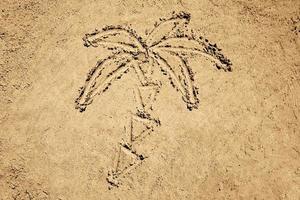 Palm Tree Drawing in Sand photo