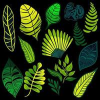 Set of tropical rainforest plants vector