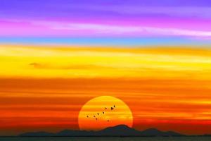 Sunrise or sunset red color and colorful cloud with birds flying photo