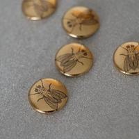 gold magnets with image of a fly photo