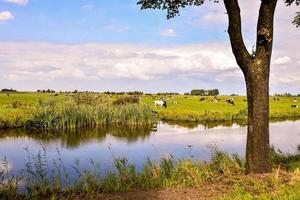 Scenic rural landscape photo