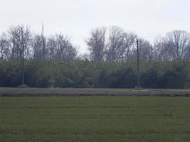 Panorama of a sown field in the village photo