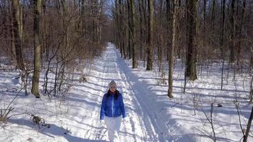 solitario turista niña caminando en un invierno cubierto de nieve conífero bosque en el montañas. escarchado clima. lento movimiento video