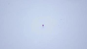 vol plus de le solitaire touristique fille en marchant le long de le Haut de une Montagne couvert avec neige. inconfortable hostile hiver temps. video