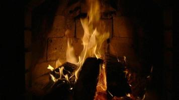 latente carbones en un chimenea. lento movimiento video