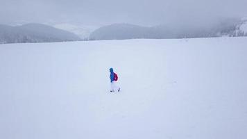 voar sobre a solitário turista menina caminhando ao longo a topo do uma montanha coberto com neve. desconfortável hostil inverno clima. video