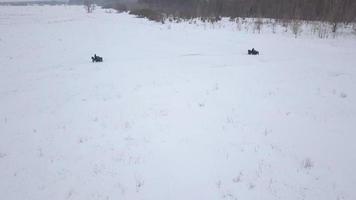 se från de höjd av atvs ridning genom de snöig landskap i vinter- video