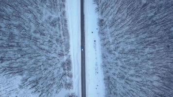aéreo ver en coche conducción mediante invierno bosque la carretera. escénico invierno paisaje video