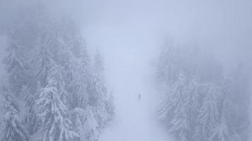 flyg över de ensam turist flicka gående längs de topp av en berg täckt med snö. obekväm ovänlig vinter- väder. video