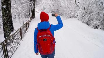 solitario turista ragazza a piedi su un' inverno innevato conifero foresta nel il montagne. gelido tempo atmosferico. lento movimento video