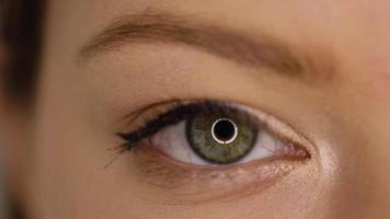 Macro Close-up eye blinking video