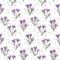 Floral seamless pattern with crocus and polka dot vector