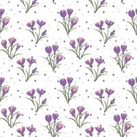 Floral seamless pattern with crocus and polka dot vector