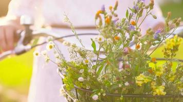 ung skön kvinna Sammanträde på henne cykel med blommor på solnedgång video