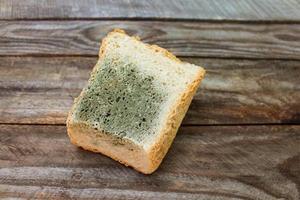 Old white mold on bread. Spoiled food. Mold on food. photo