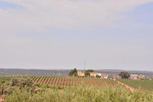 Scenic rural landscape photo