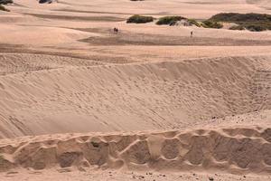 Scenic desert landscape photo